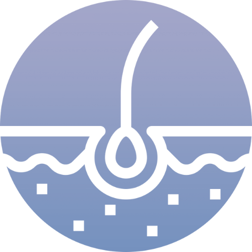 A stylized graphic of a hair follicle in skin, shown in a circular icon with a gradient blue background and white lines representing the hair and skin layers.