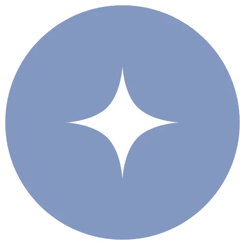 A white four-pointed star shape centered on a circular blue background.